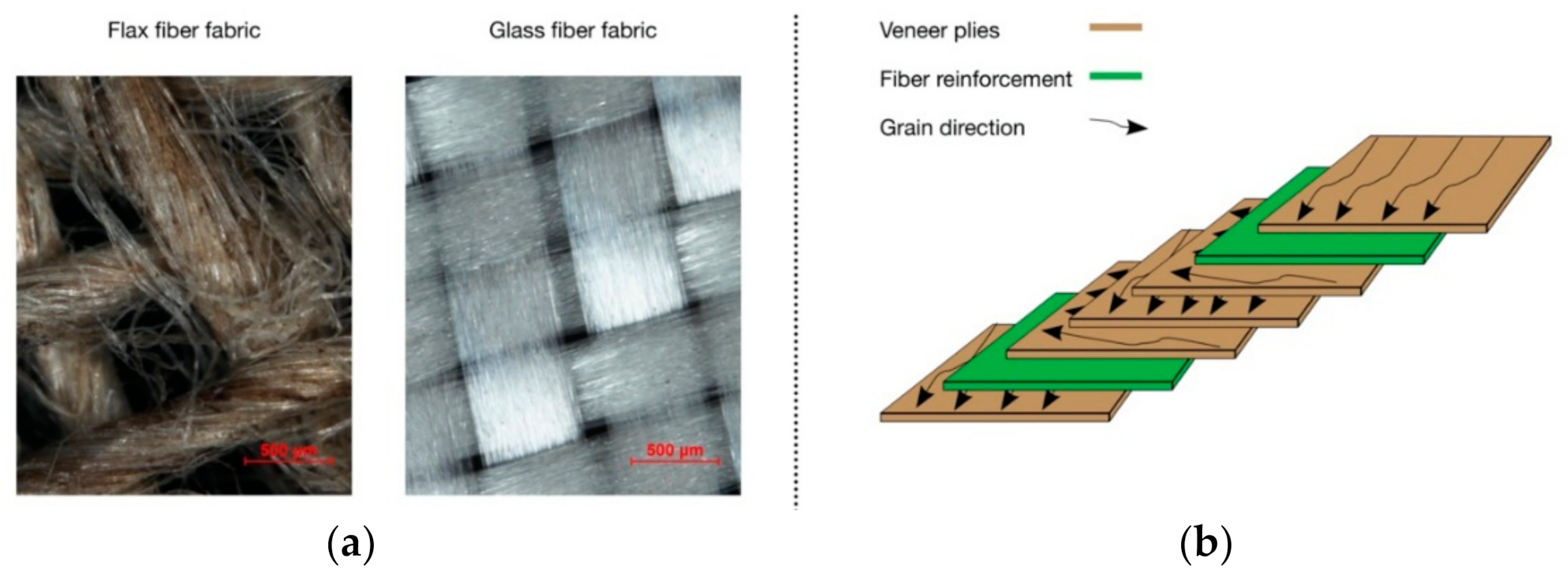 Polymers 13 03086 g001