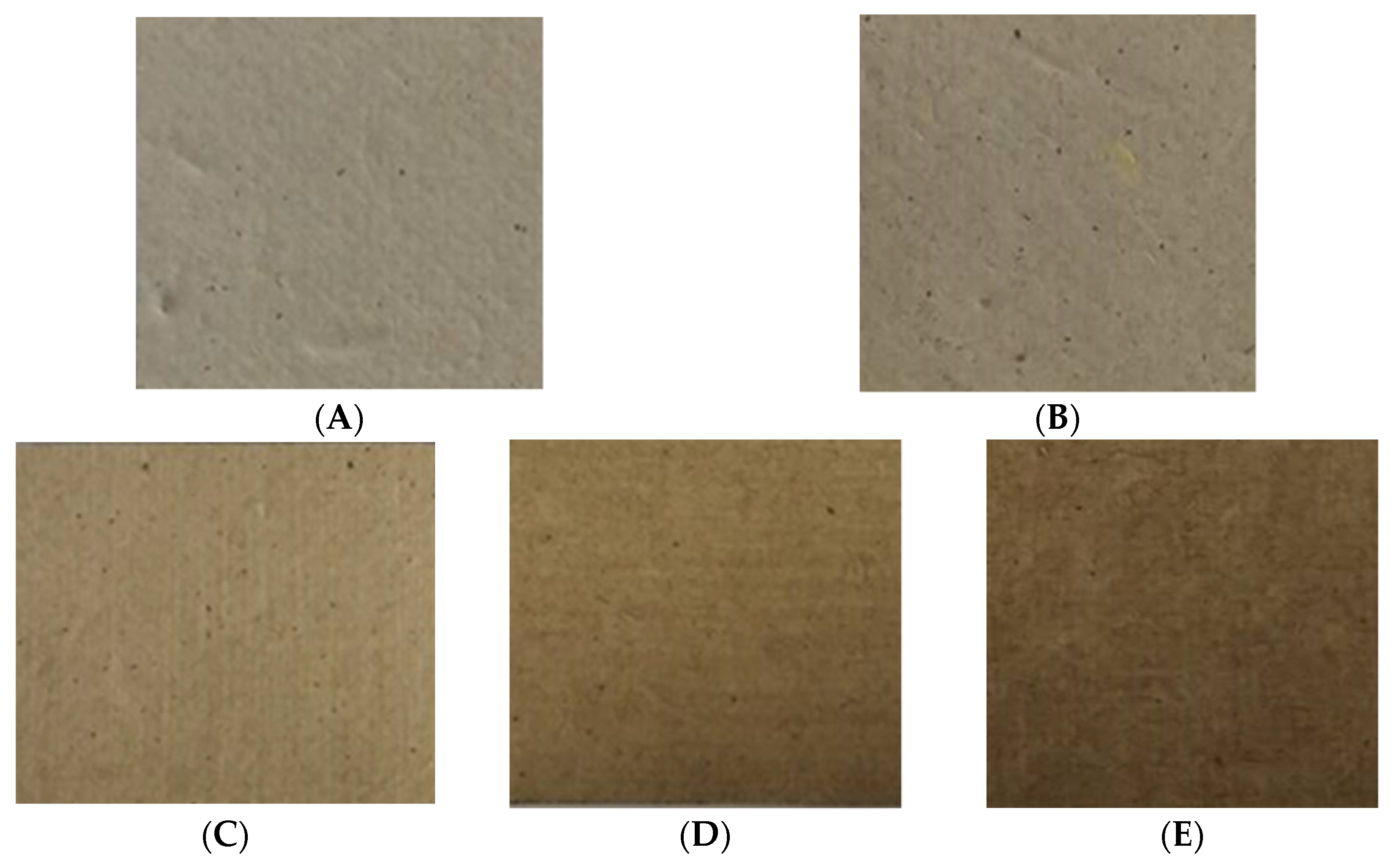 Polymers 13 03096 g003