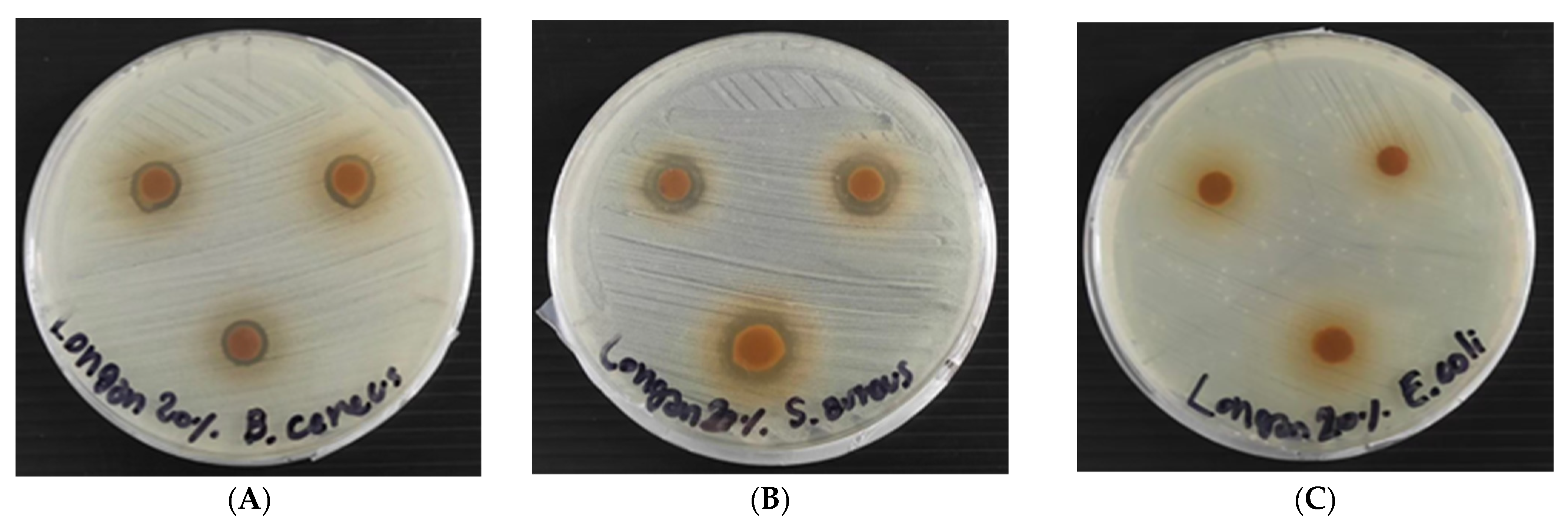 Polymers 13 03096 g006