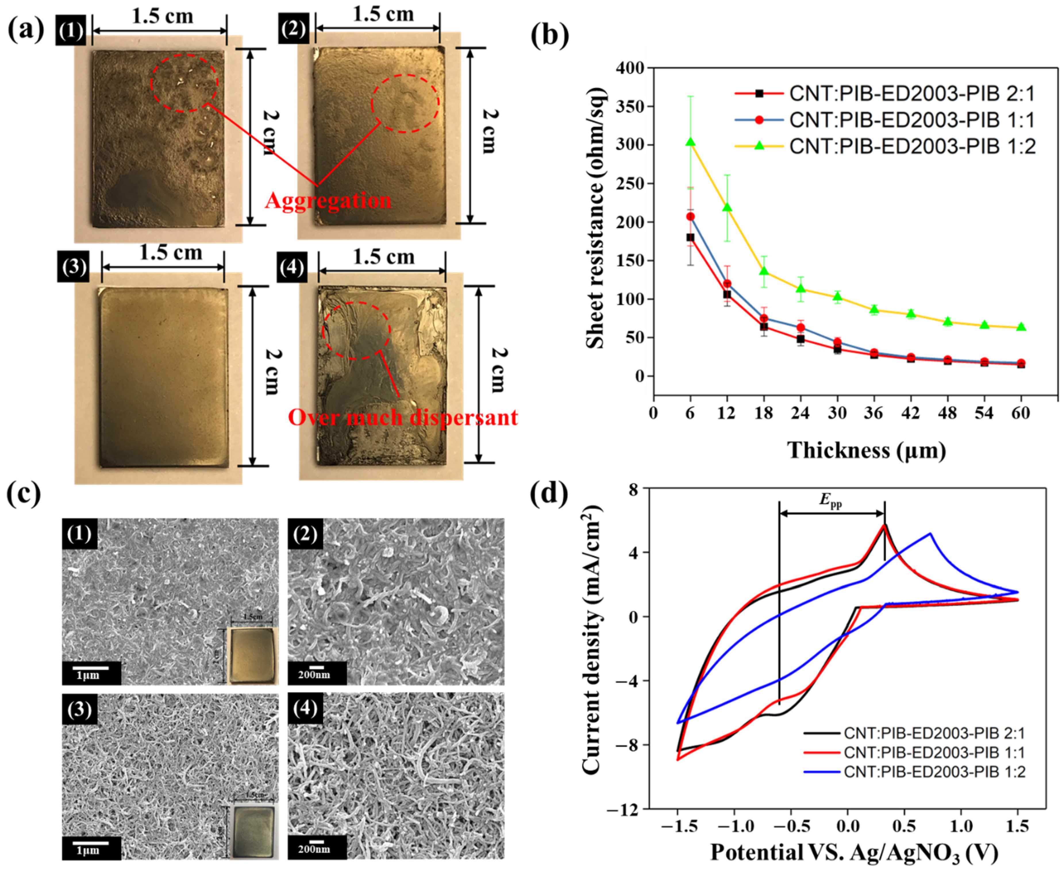 Polymers 13 03103 g002