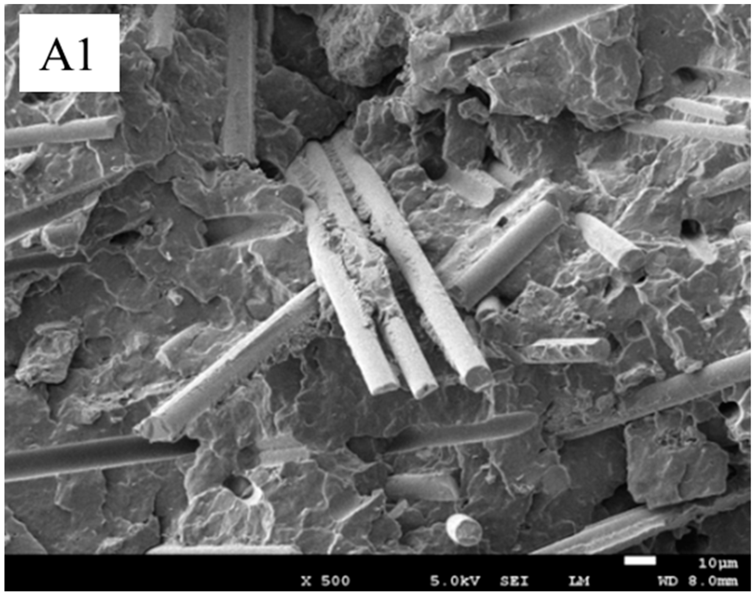 Polymers 13 03106 g010a Polymers 13 03106 g010a