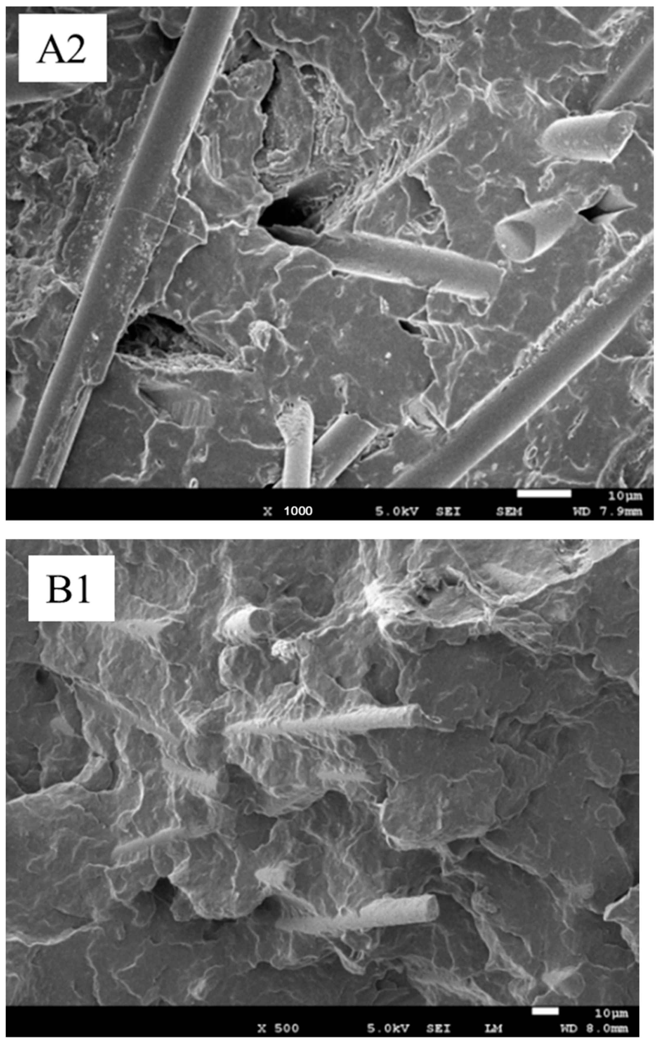 Polymers 13 03106 g010b Polymers 13 03106 g010b