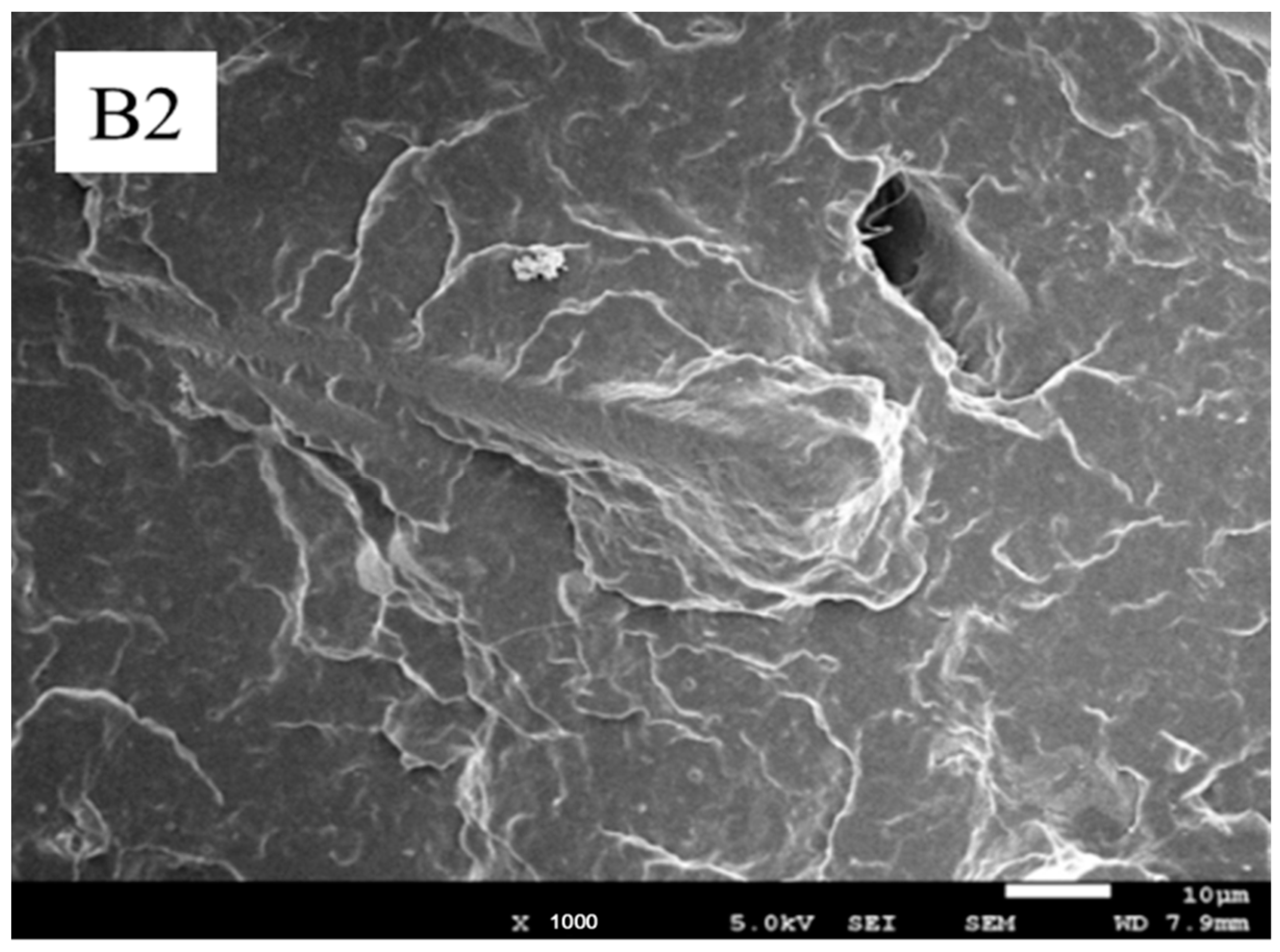 Polymers 13 03106 g010c Polymers 13 03106 g010c