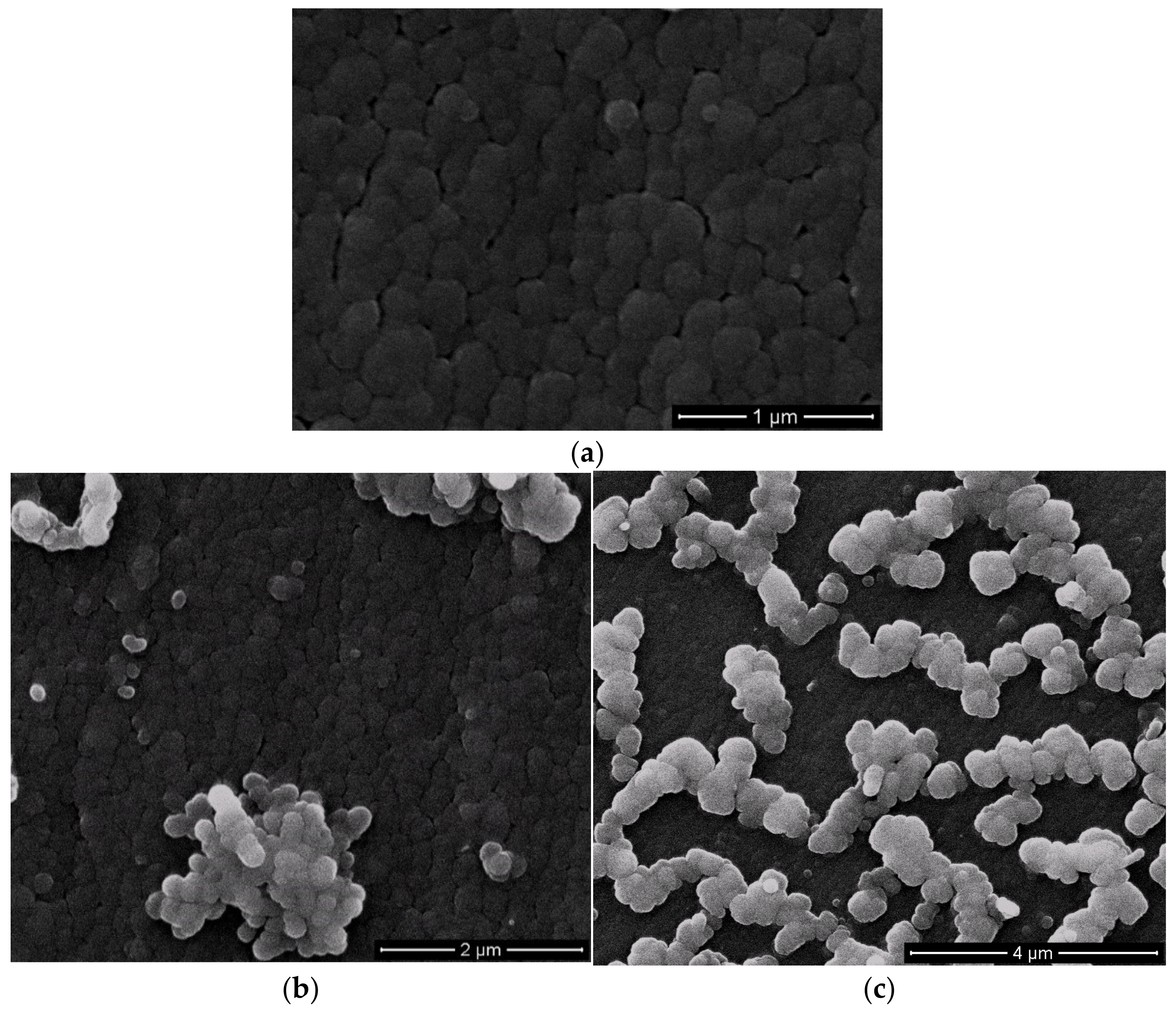 Polymers 13 03111 g009a