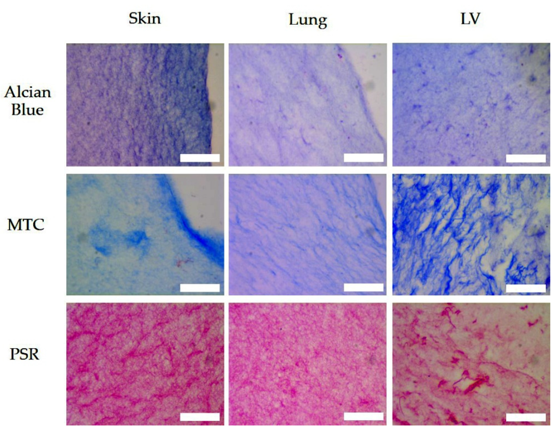 Polymers 13 03113 g006 Polymers 13 03113 g006