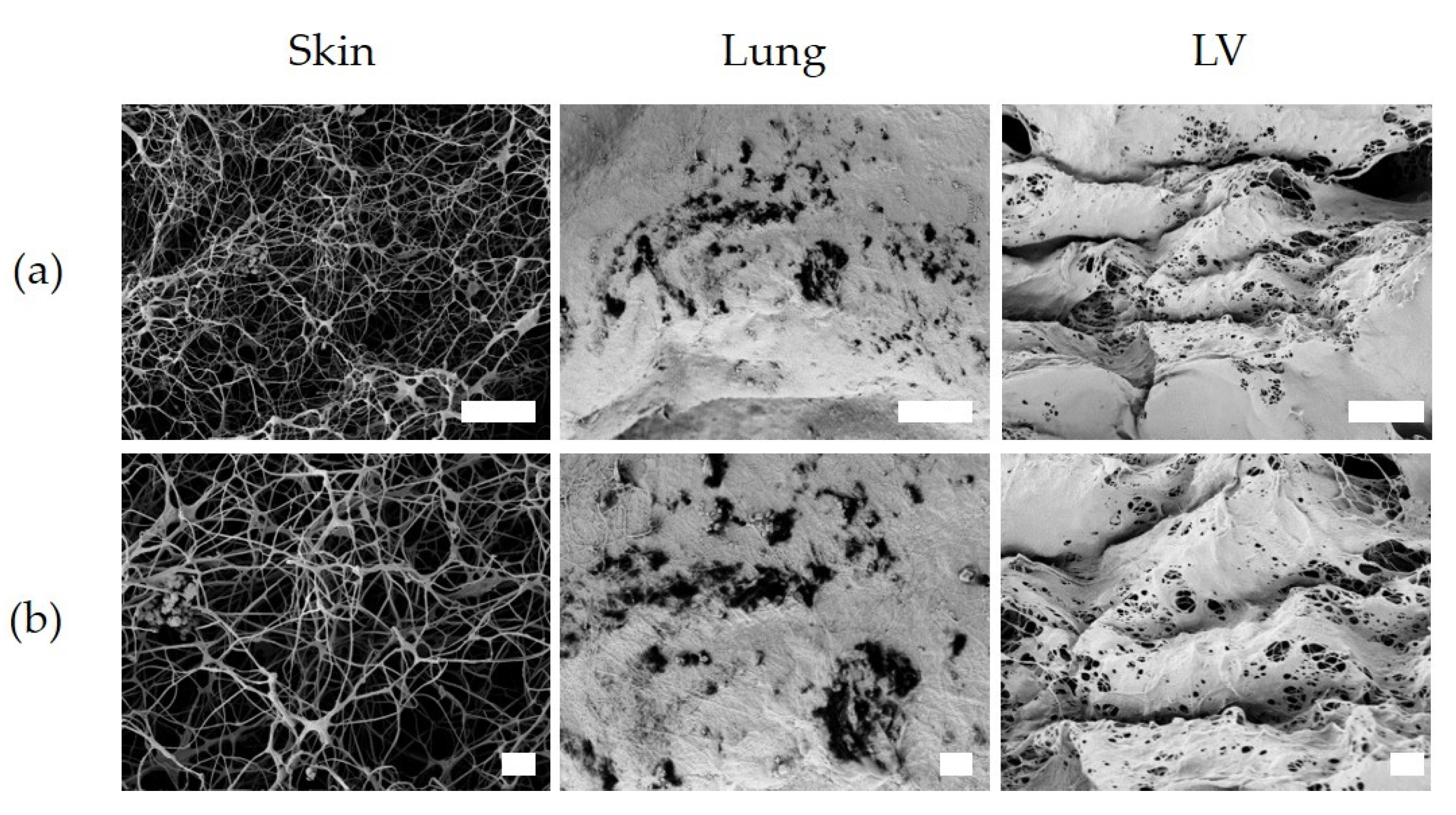 Polymers 13 03113 g009 Polymers 13 03113 g009
