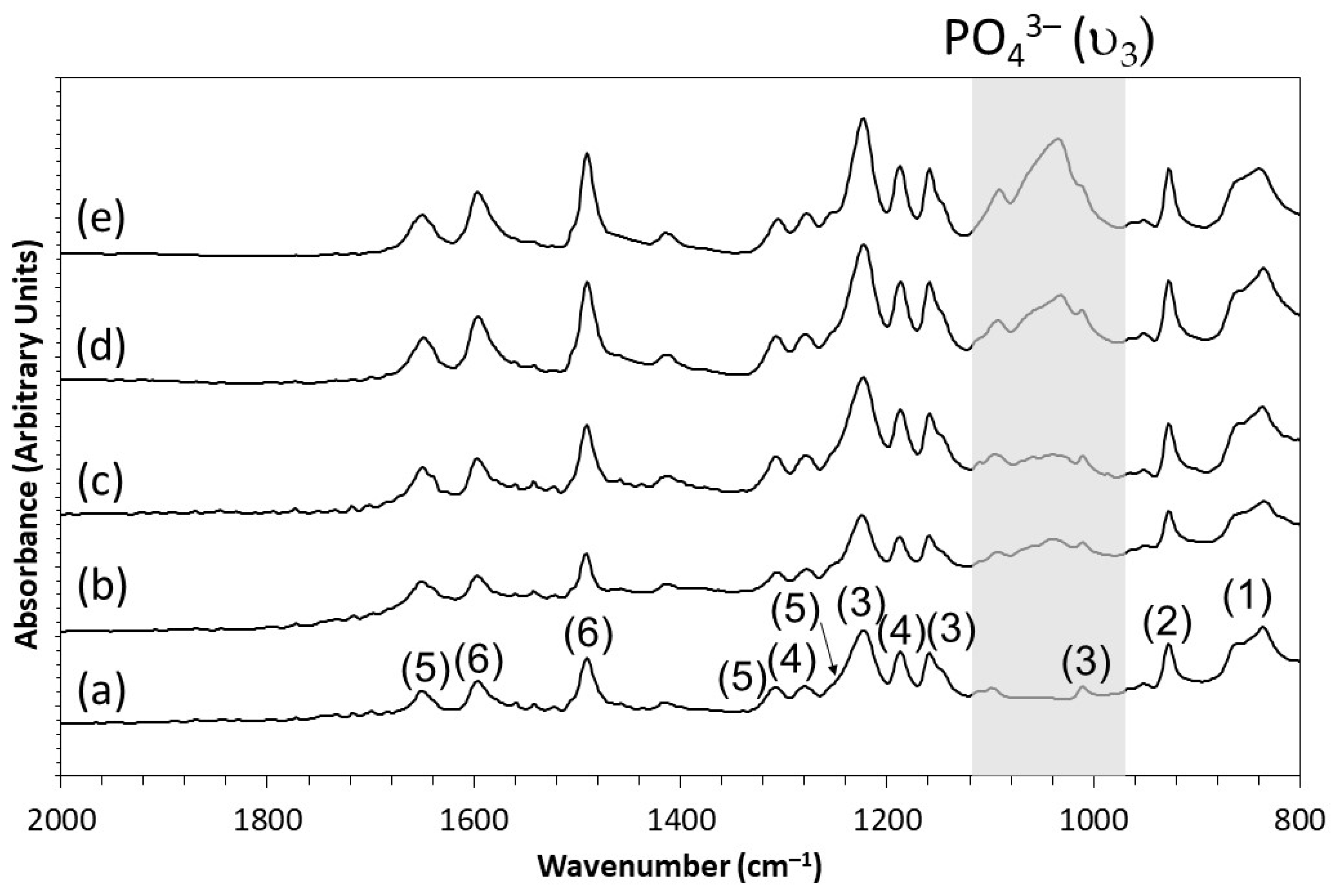 Polymers 13 03117 g002 Polymers 13 03117 g002