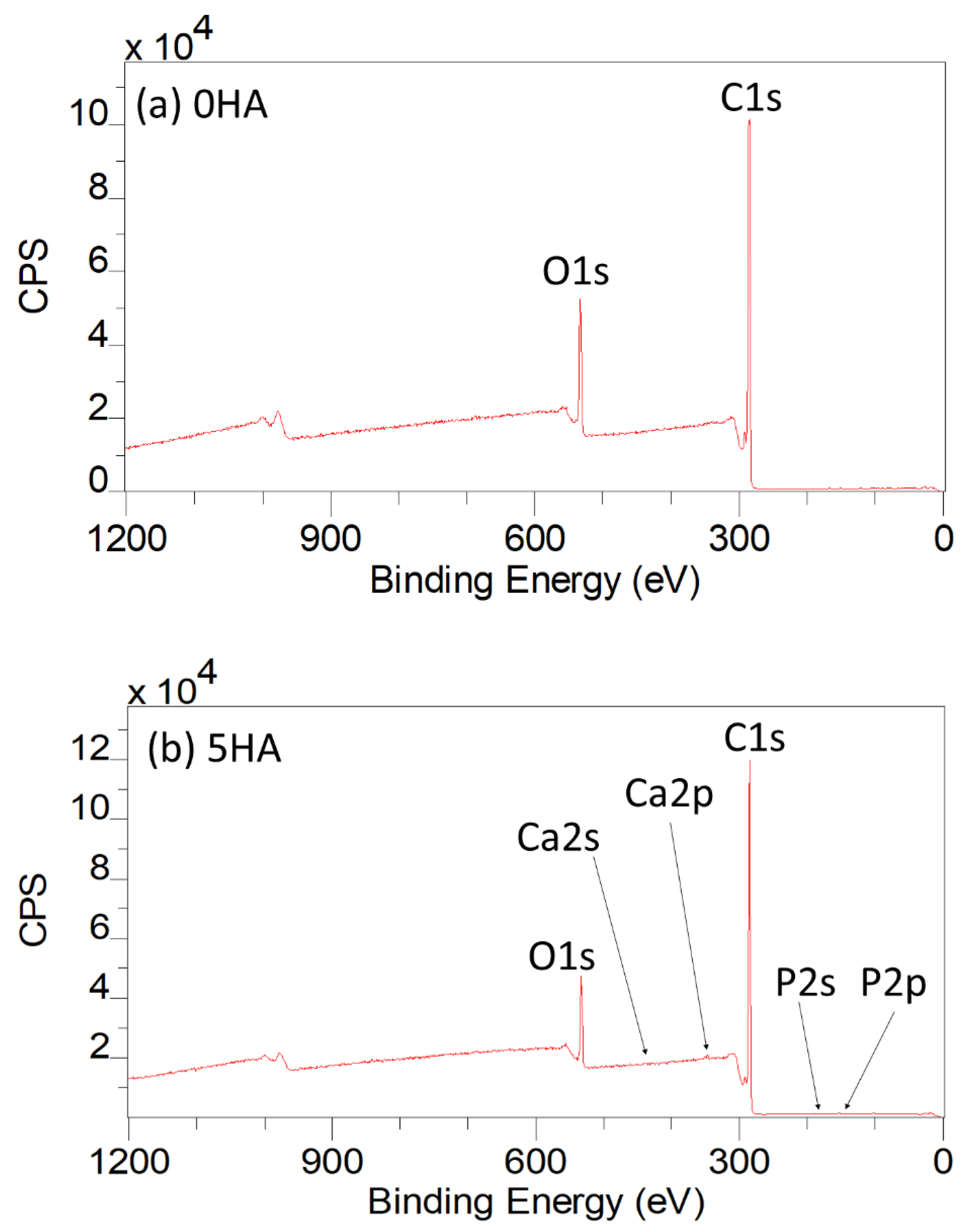 Polymers 13 03117 g005 Polymers 13 03117 g005