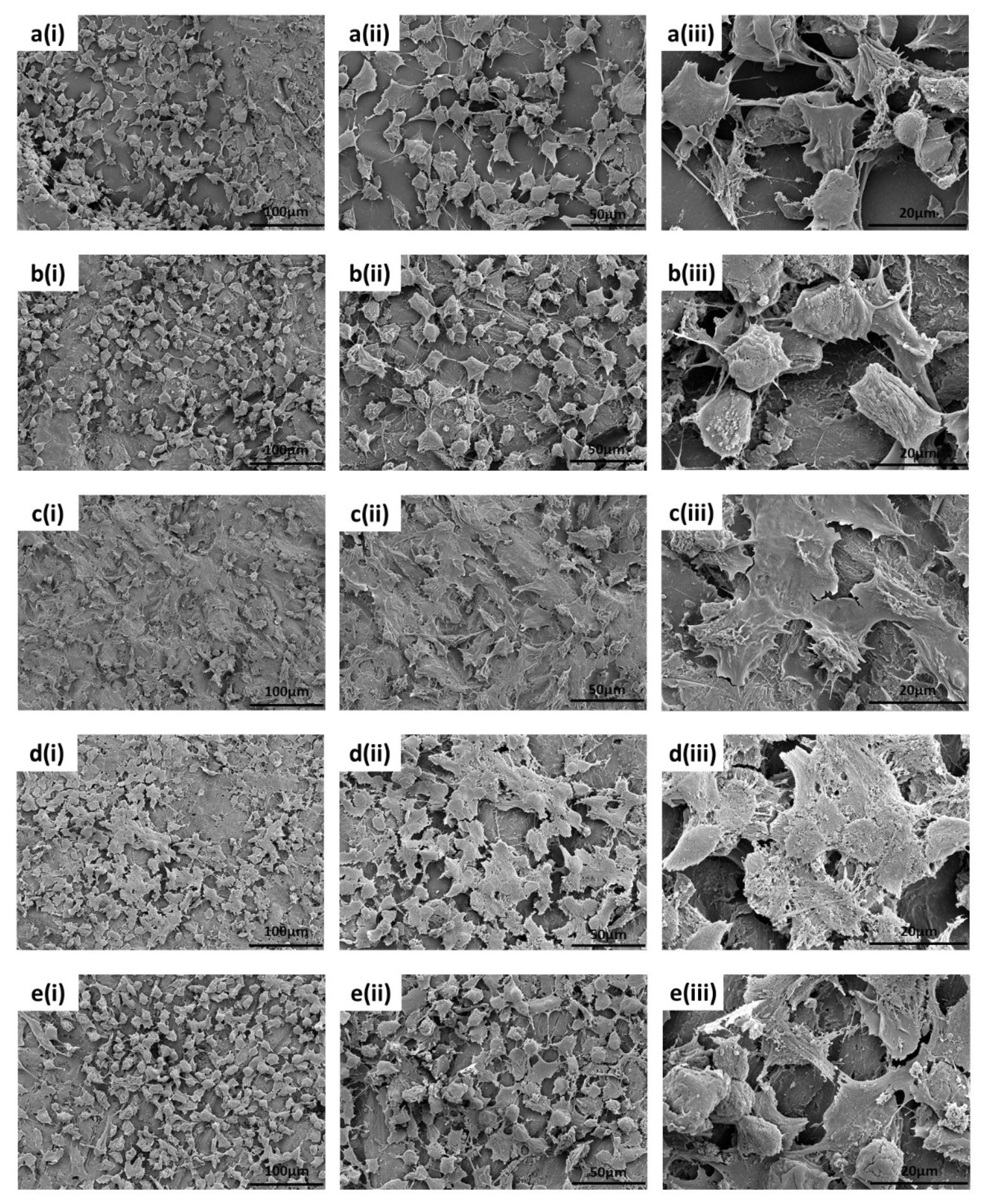 Polymers 13 03117 g014 Polymers 13 03117 g014
