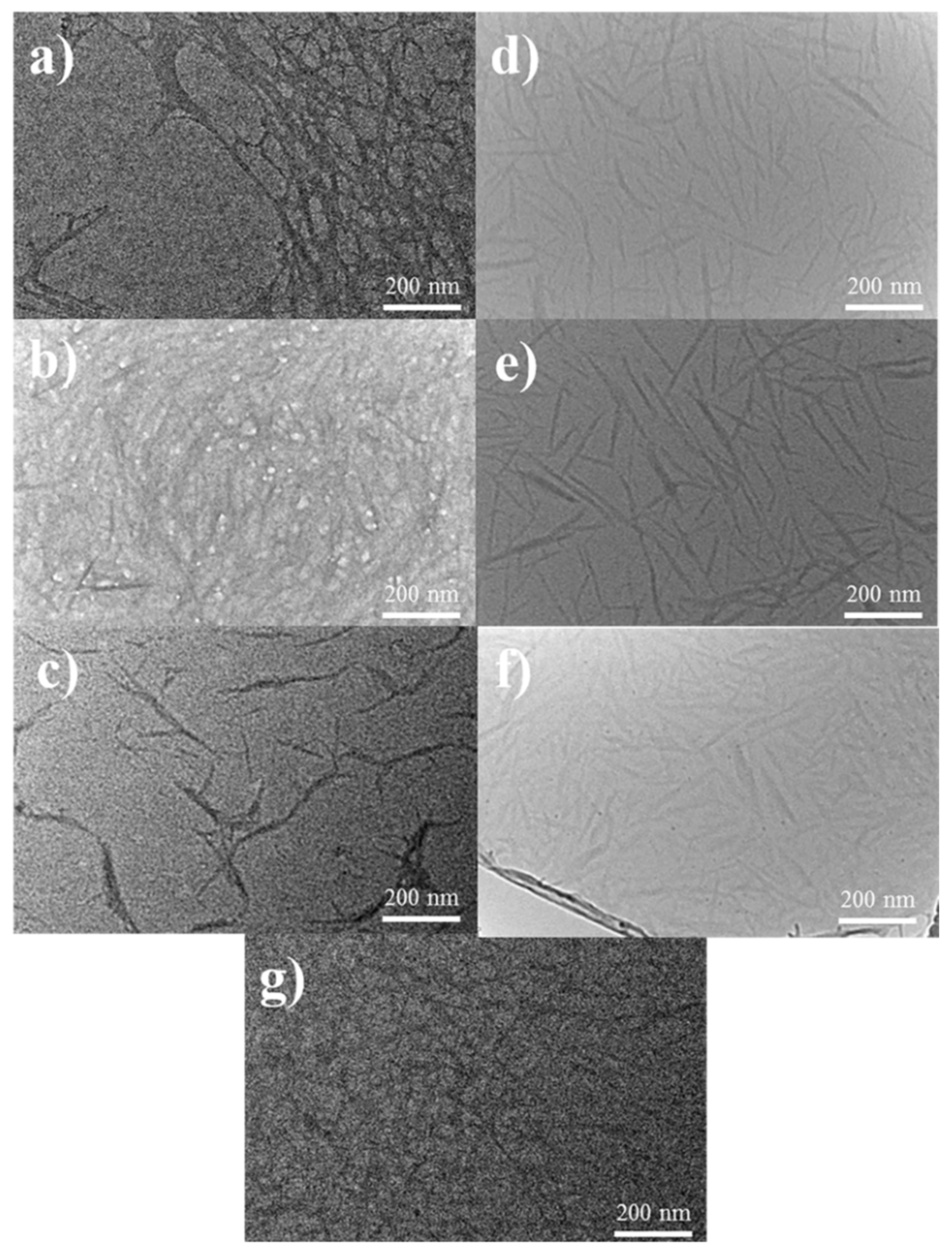 Polymers 13 03119 g002 Polymers 13 03119 g002