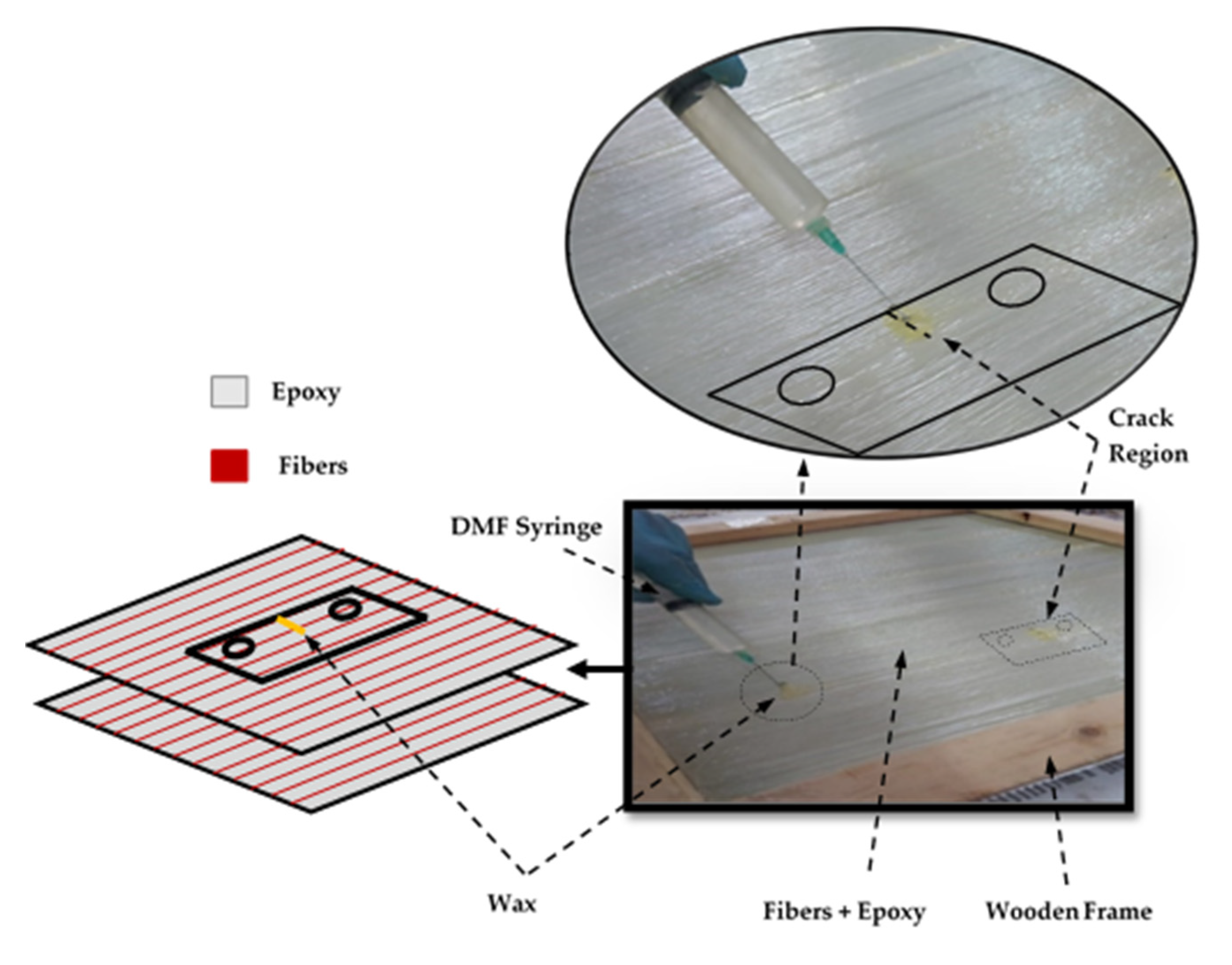 Polymers 13 03129 g002