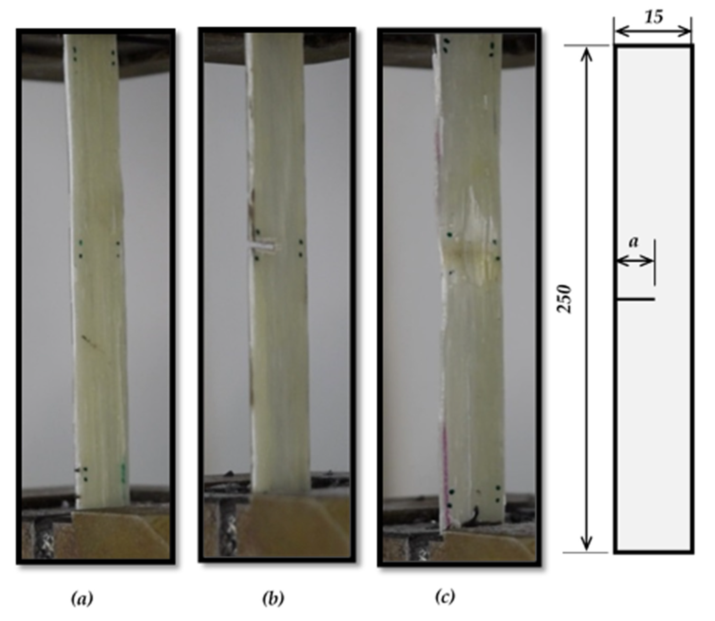 Polymers 13 03129 g004