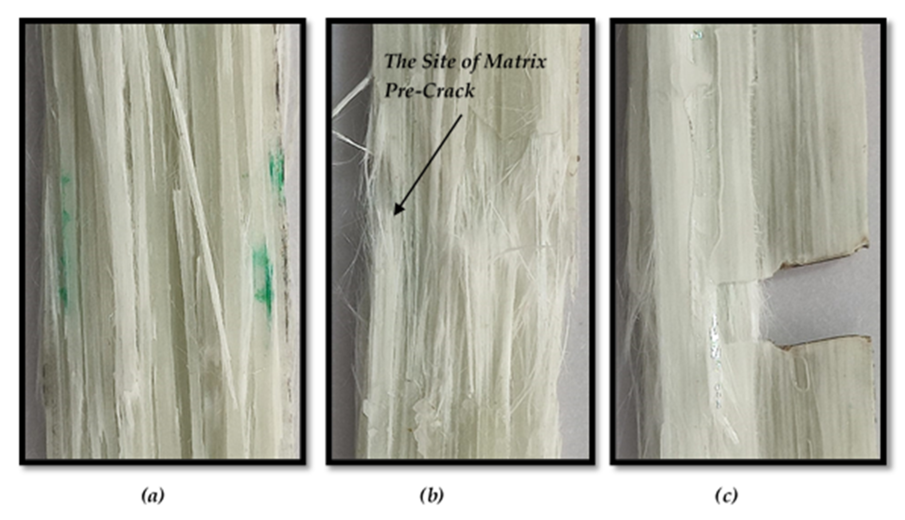 Polymers 13 03129 g011