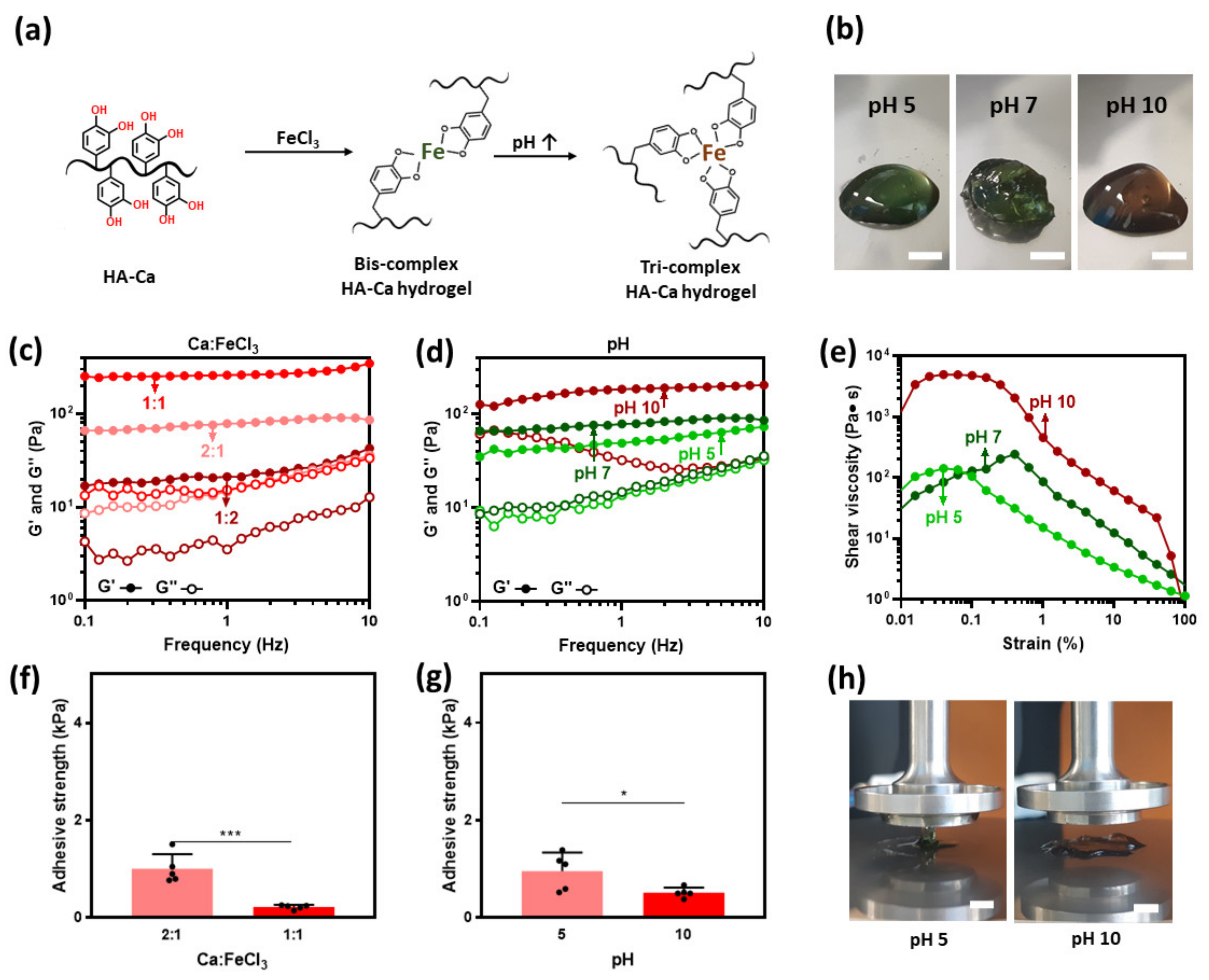 Polymers 13 03130 g005