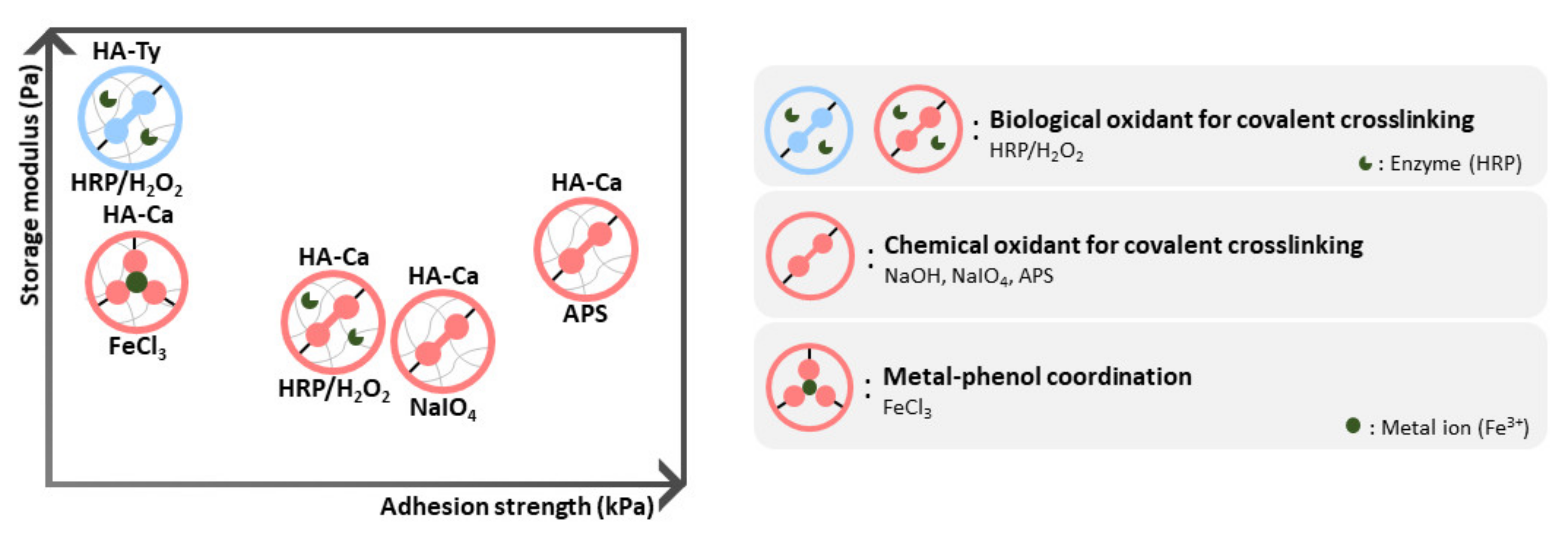Polymers 13 03130 g006