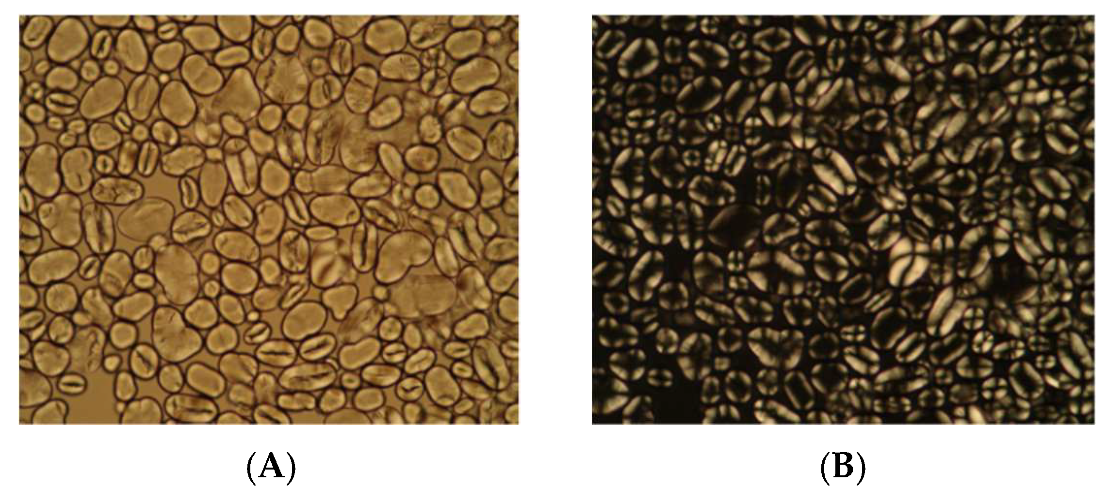 Polymers 13 03134 g001 Polymers 13 03134 g001