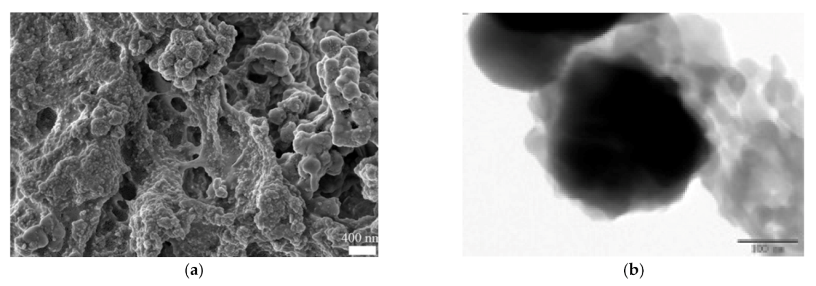 Polymers 13 03137 g003