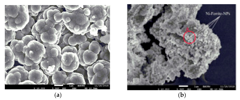 Polymers 13 03137 g004