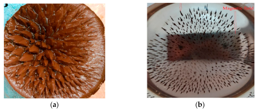 Polymers 13 03137 g005