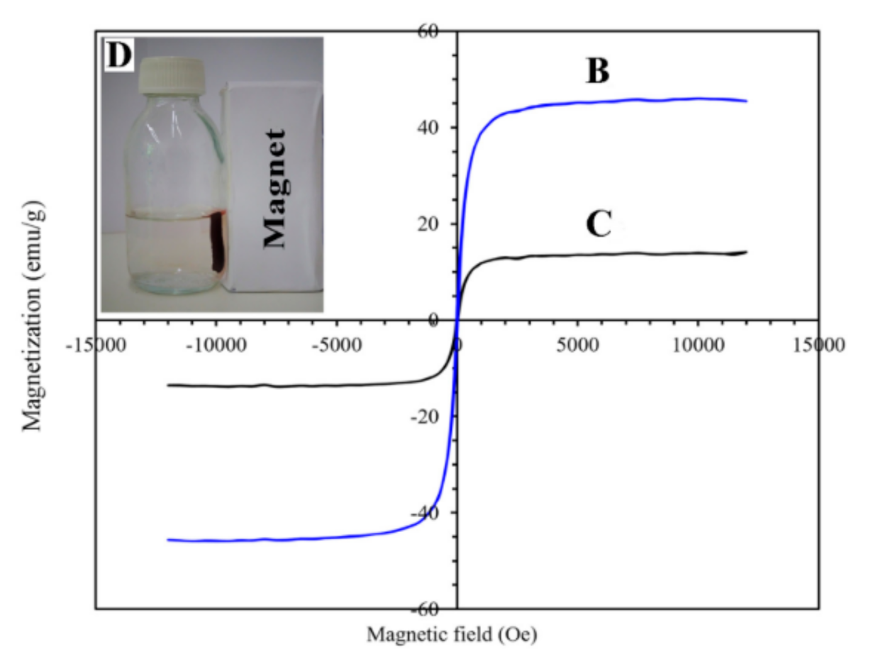 Polymers 13 03137 g006