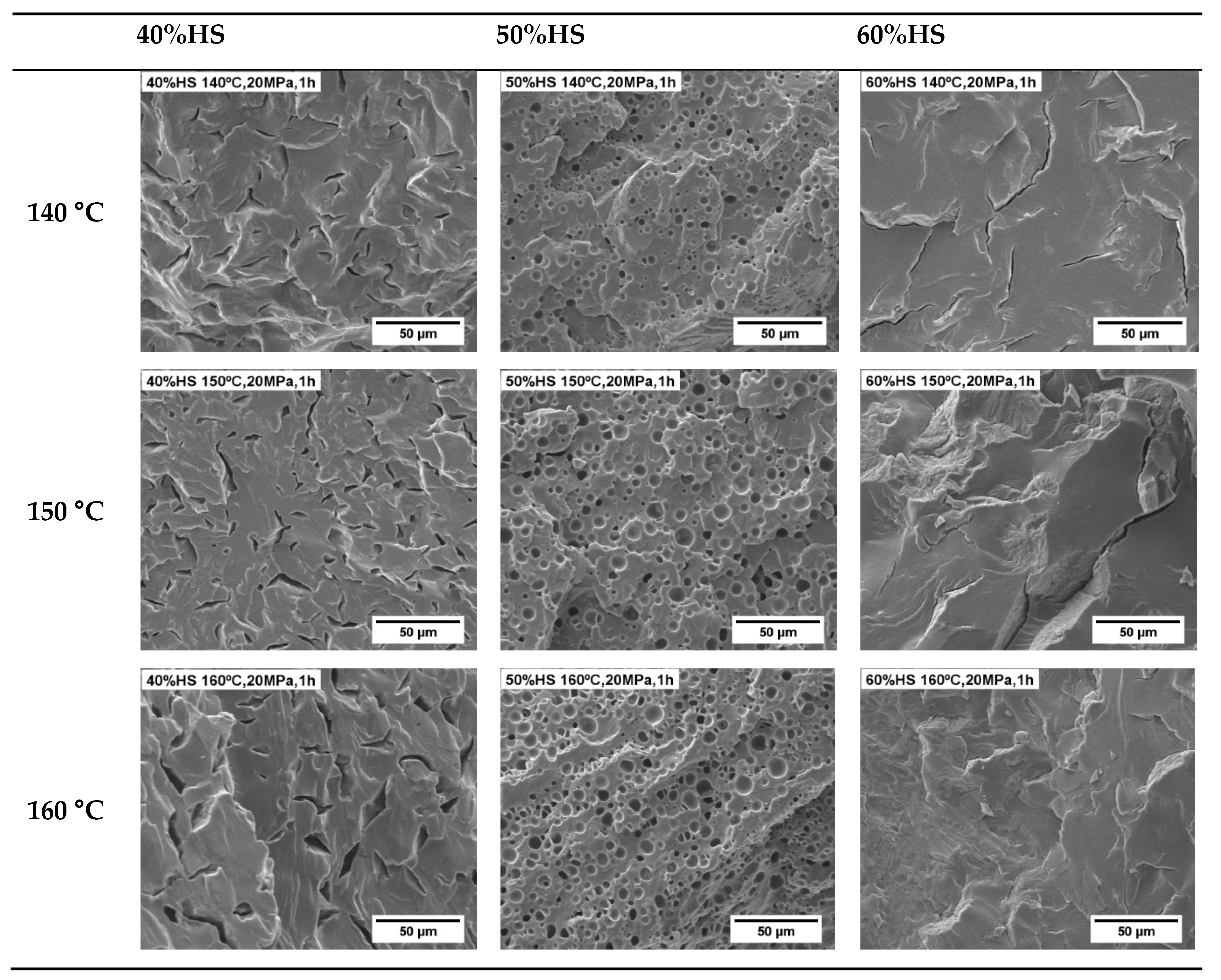 Polymers 13 03143 g005a
