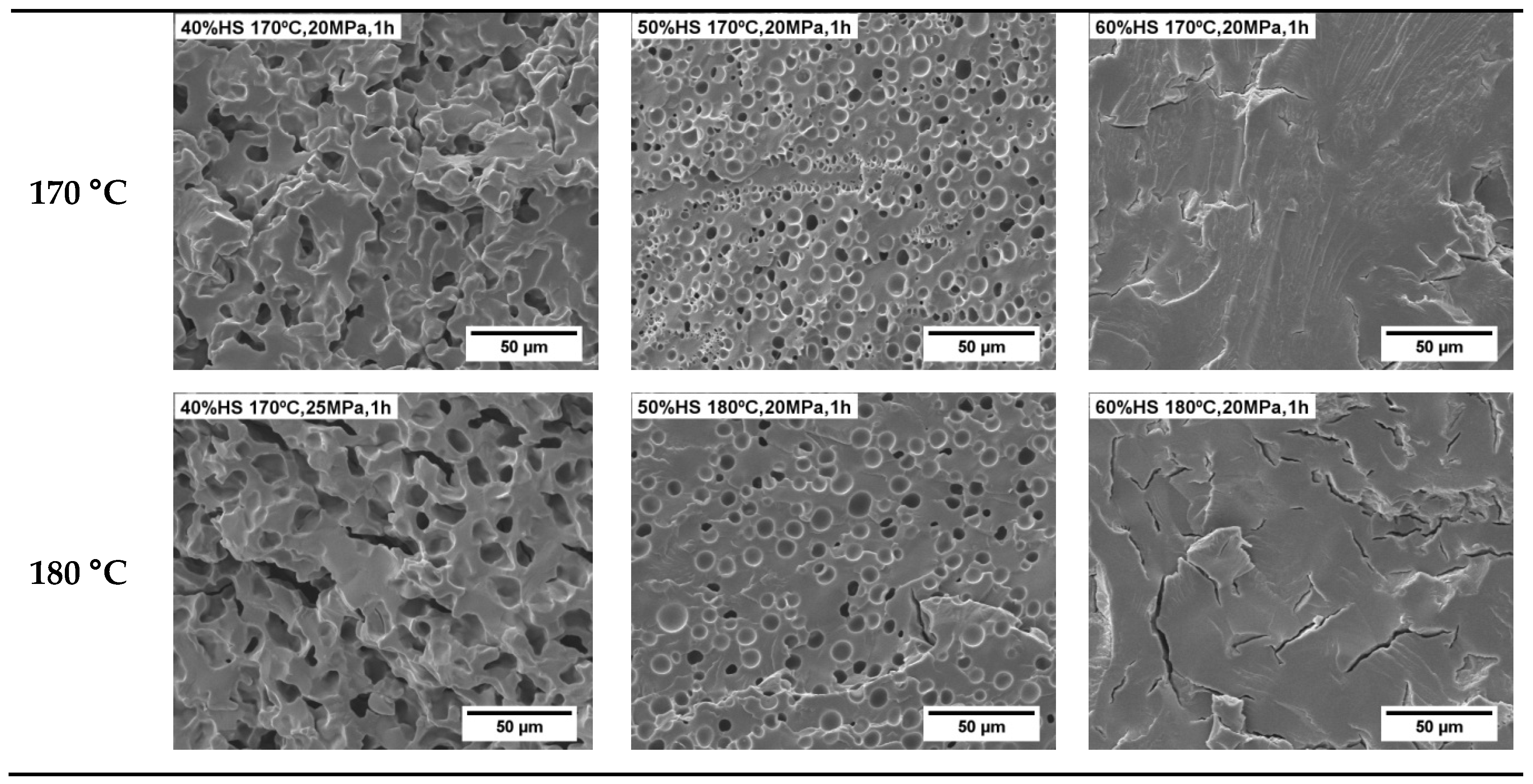 Polymers 13 03143 g005b