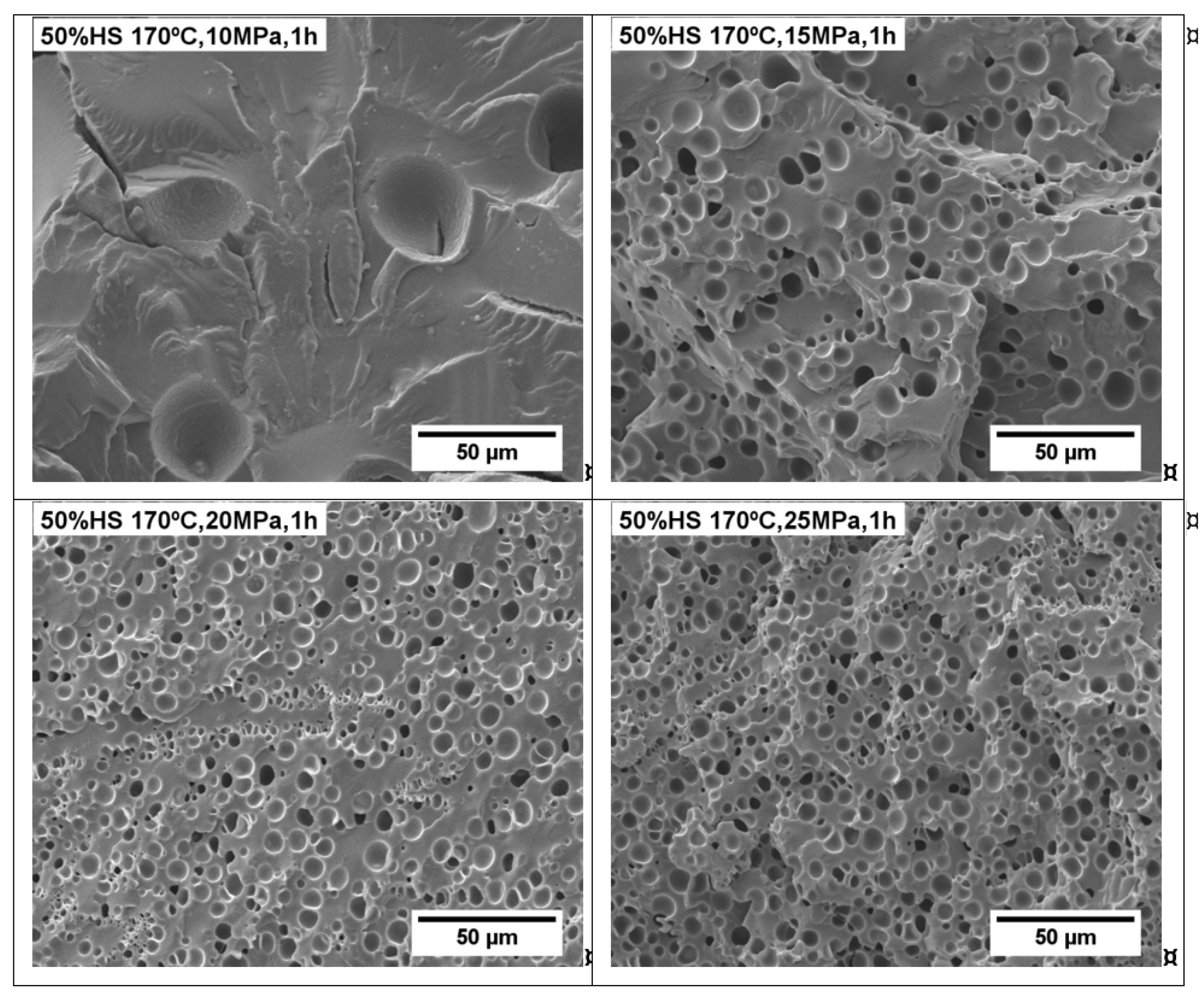 Polymers 13 03143 g007
