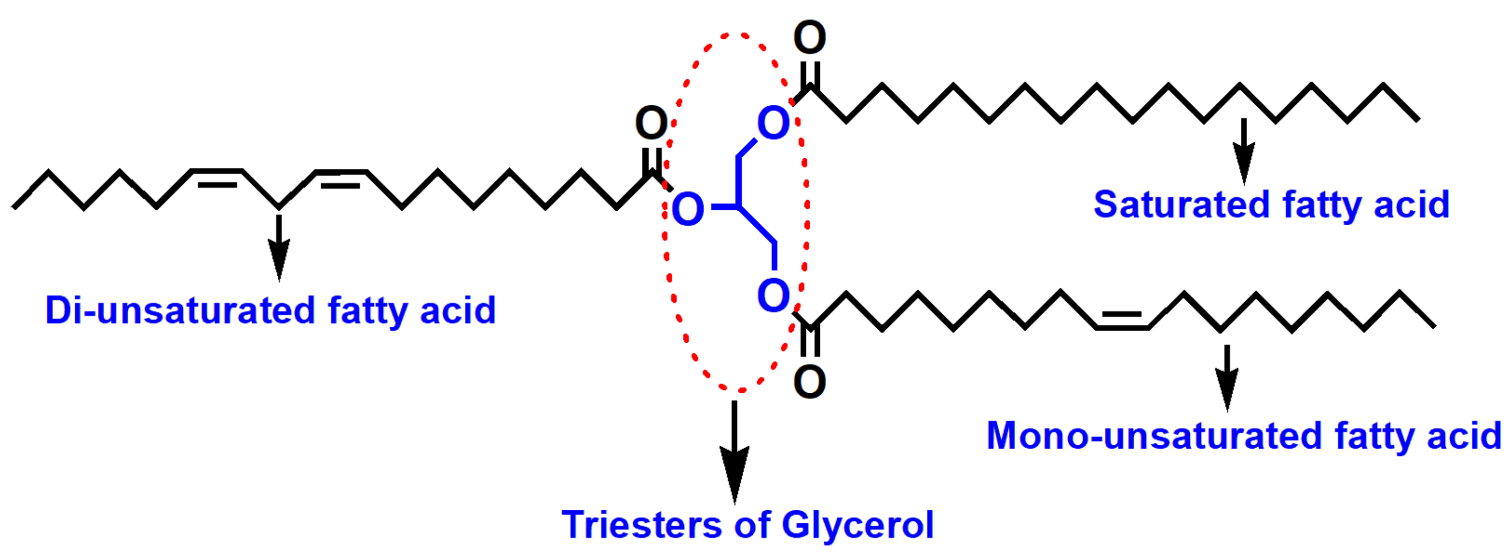 Polymers 13 03149 g004 Polymers 13 03149 g004