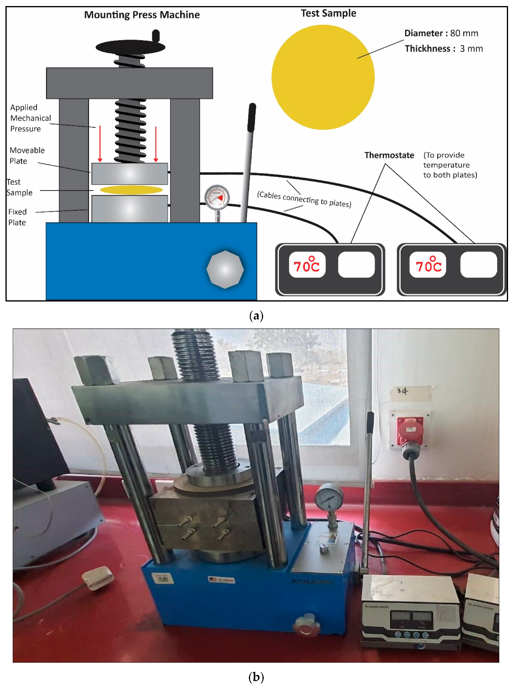 Polymers 13 03150 g002