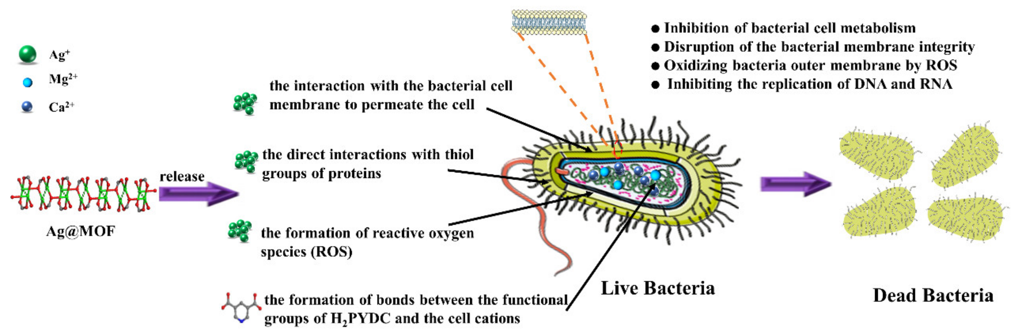 Polymers 13 03151 g001
