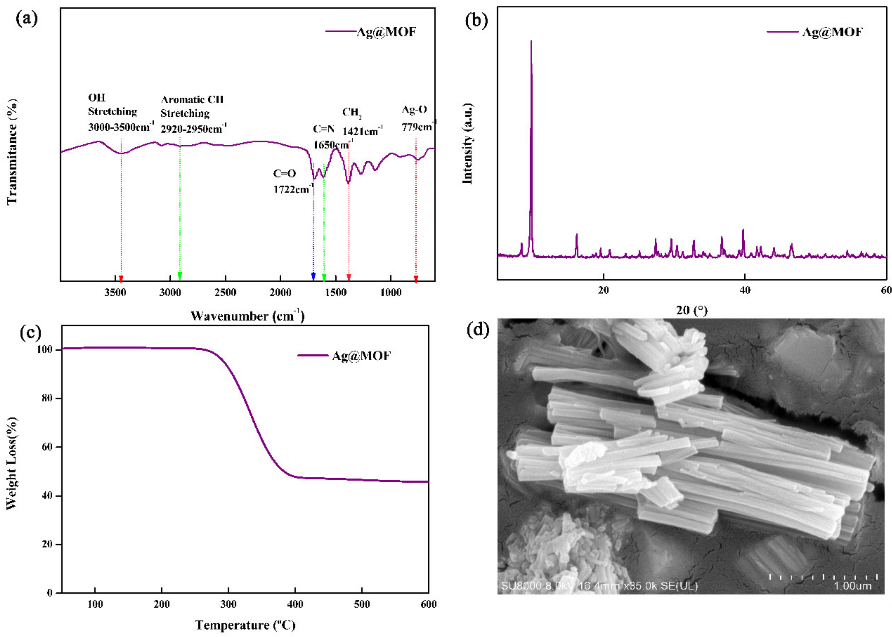 Polymers 13 03151 g002