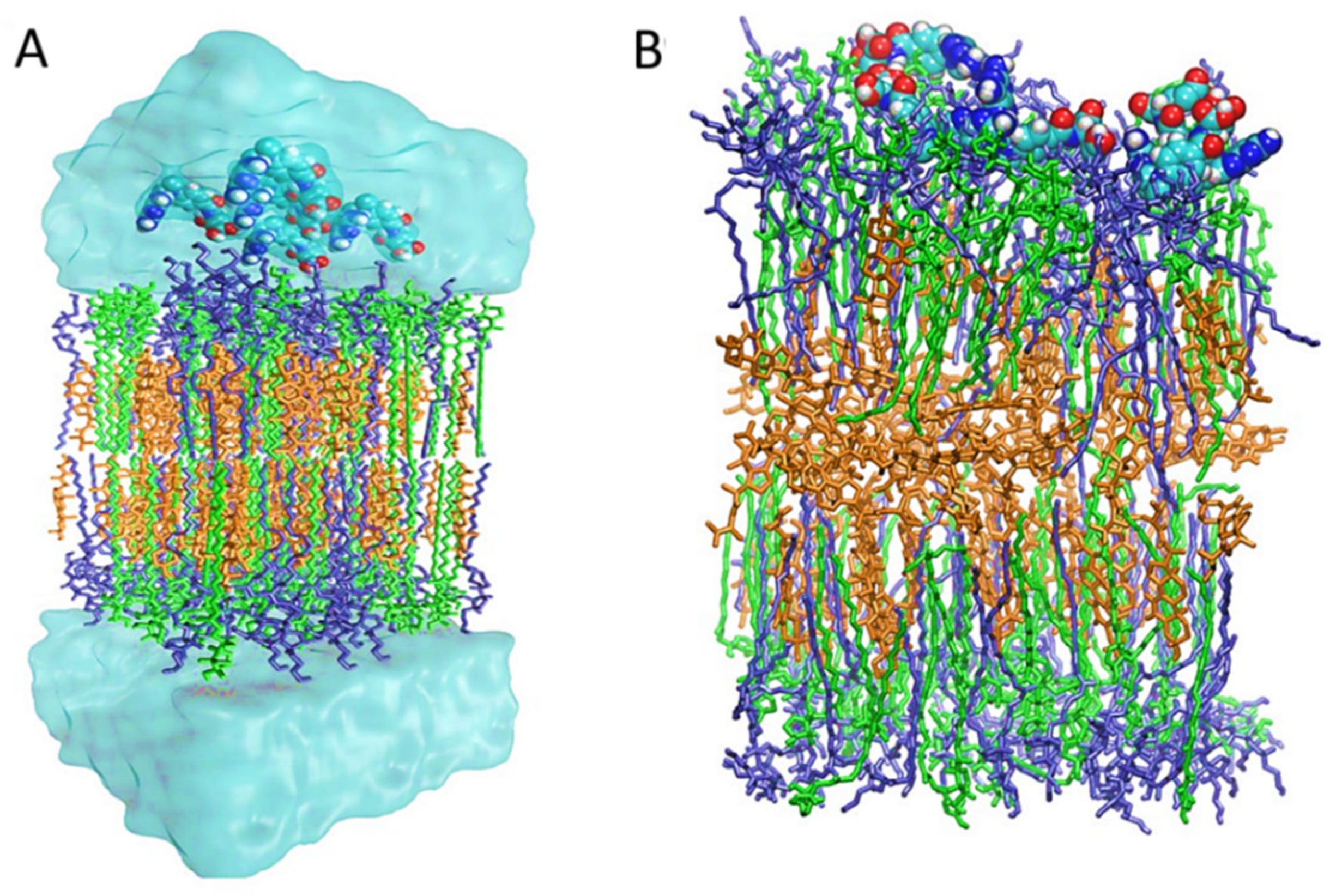 Polymers 13 03153 g002
