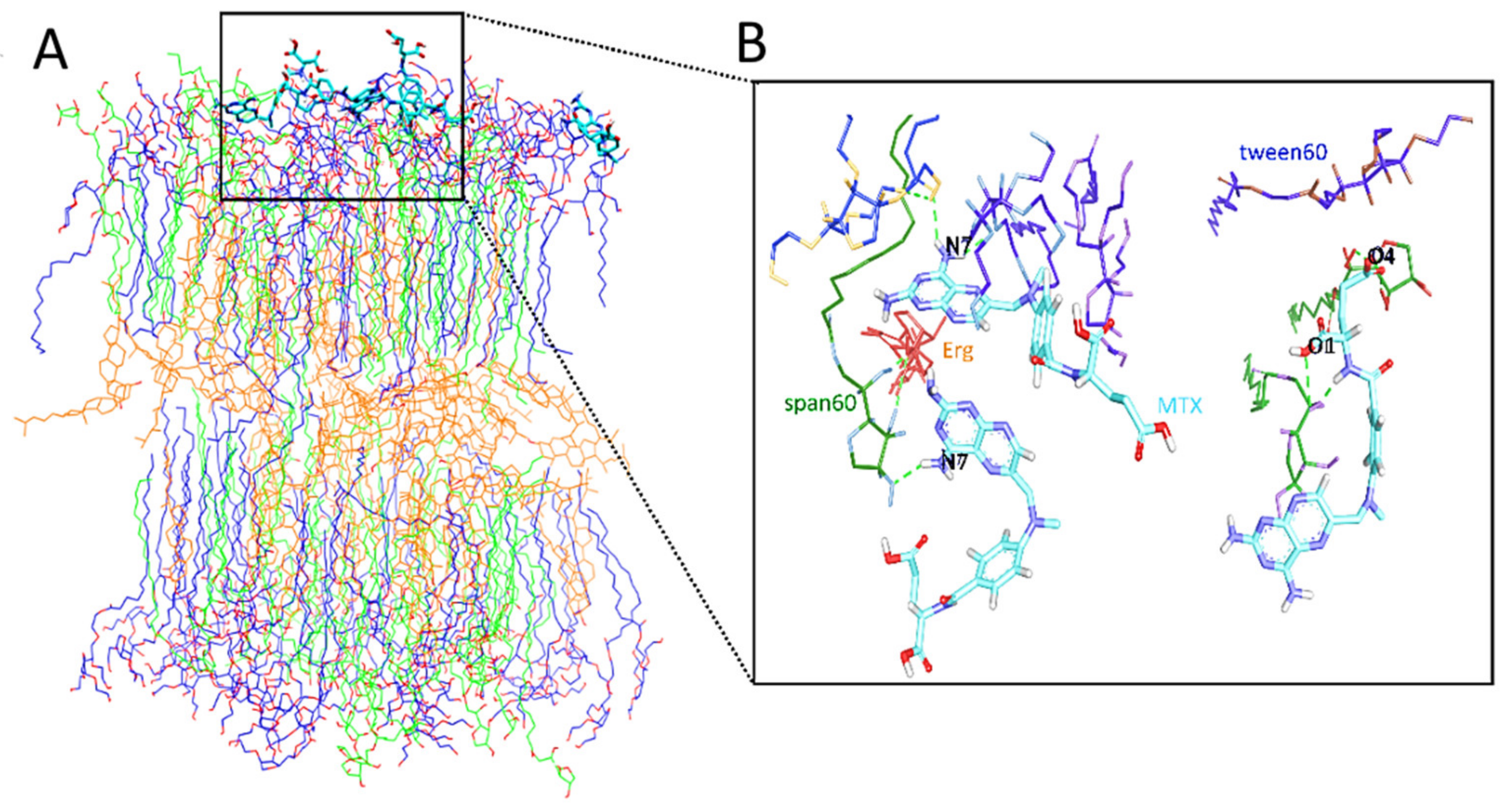 Polymers 13 03153 g005