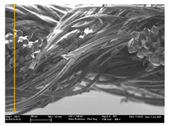 Polymers 13 03165 i028