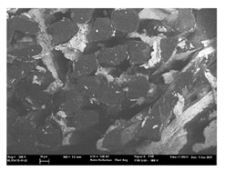 Polymers 13 03165 i029