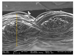 Polymers 13 03165 i031