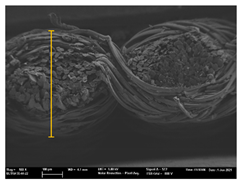 Polymers 13 03165 i037