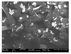 Polymers 13 03165 i041