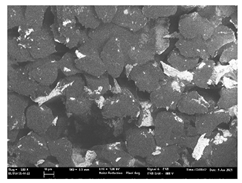 Polymers 13 03165 i050