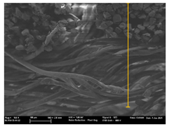 Polymers 13 03165 i052