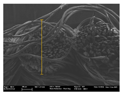 Polymers 13 03165 i055