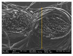 Polymers 13 03165 i058
