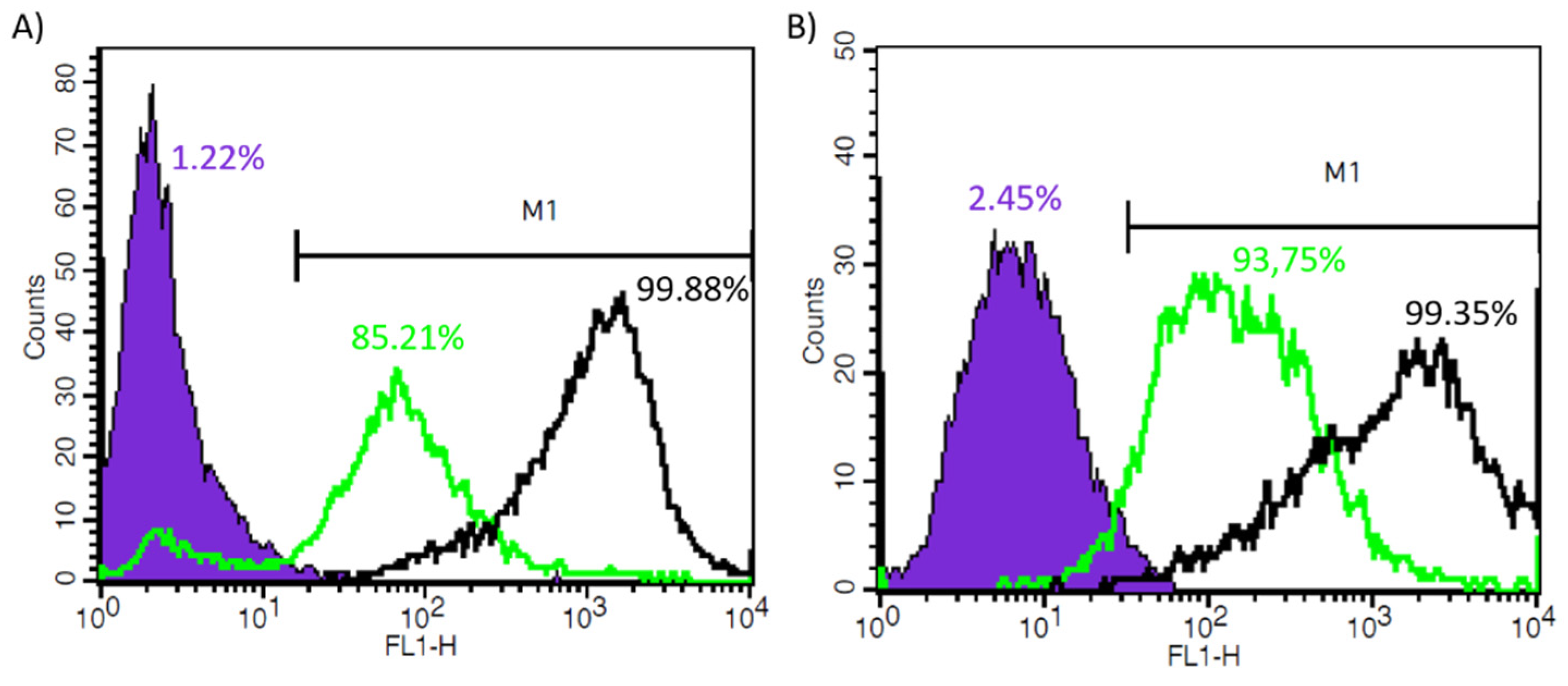 Polymers 13 03169 g010