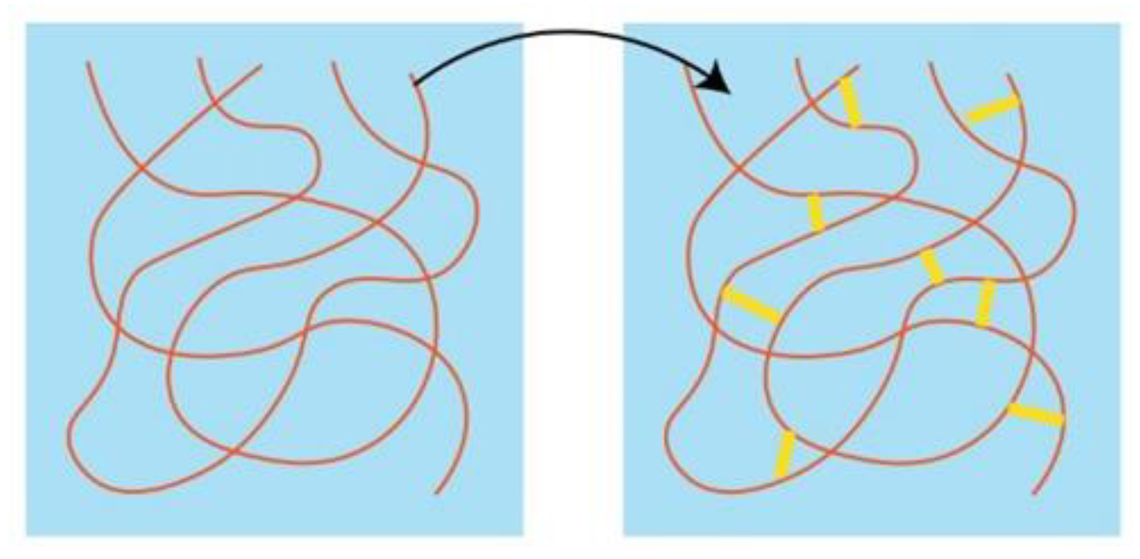 Polymers 13 03185 g004 Polymers 13 03185 g004