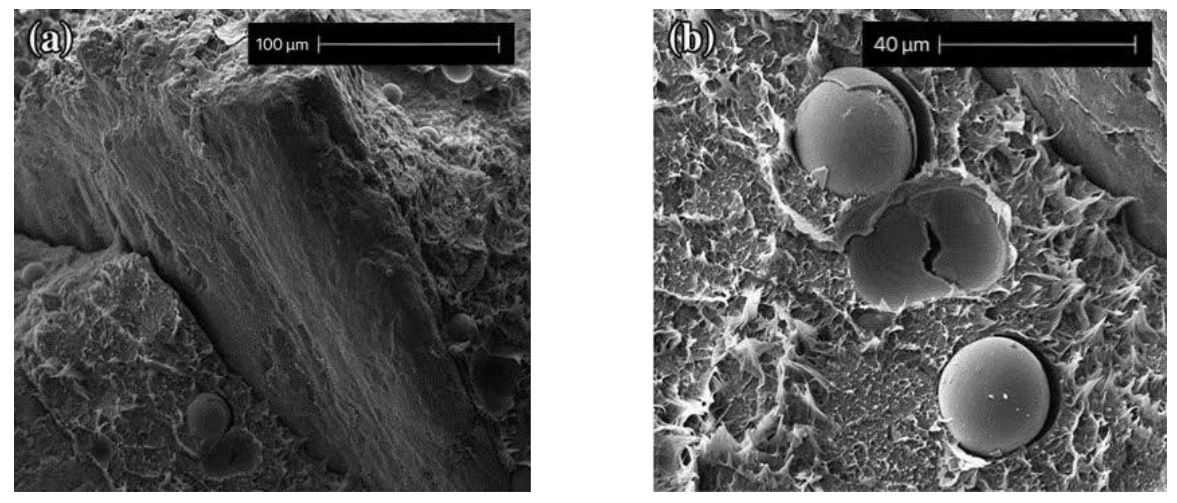 Polymers 13 03185 g012 Polymers 13 03185 g012