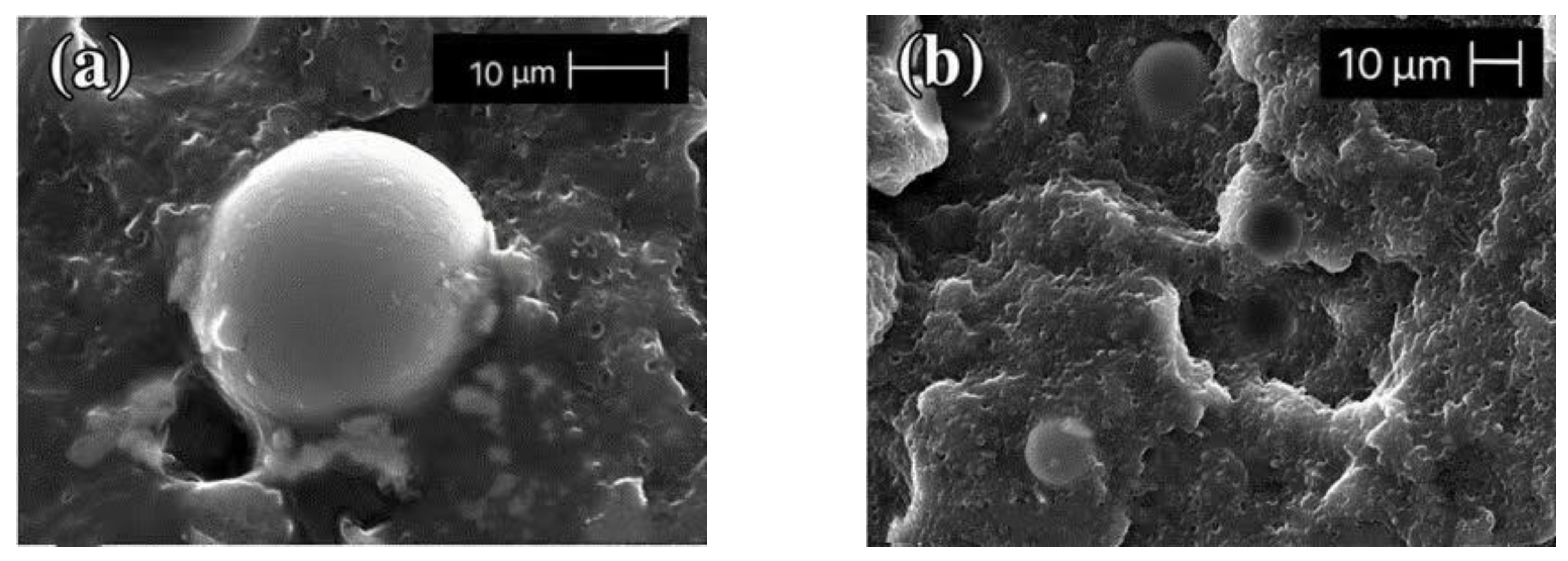 Polymers 13 03185 g013 Polymers 13 03185 g013