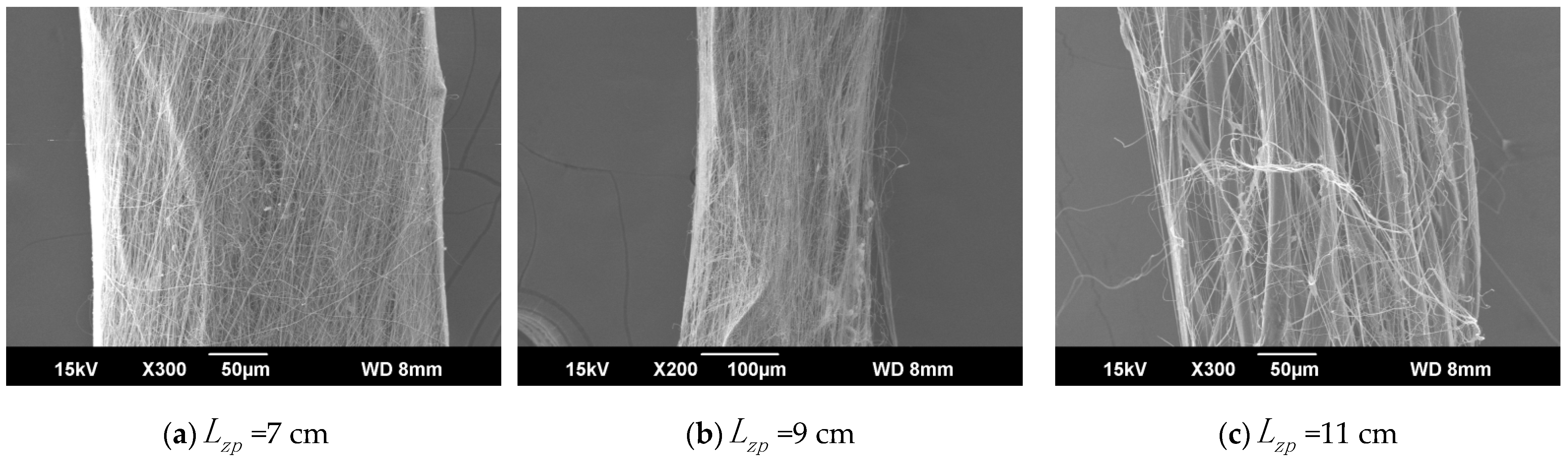 Polymers 13 03189 g011
