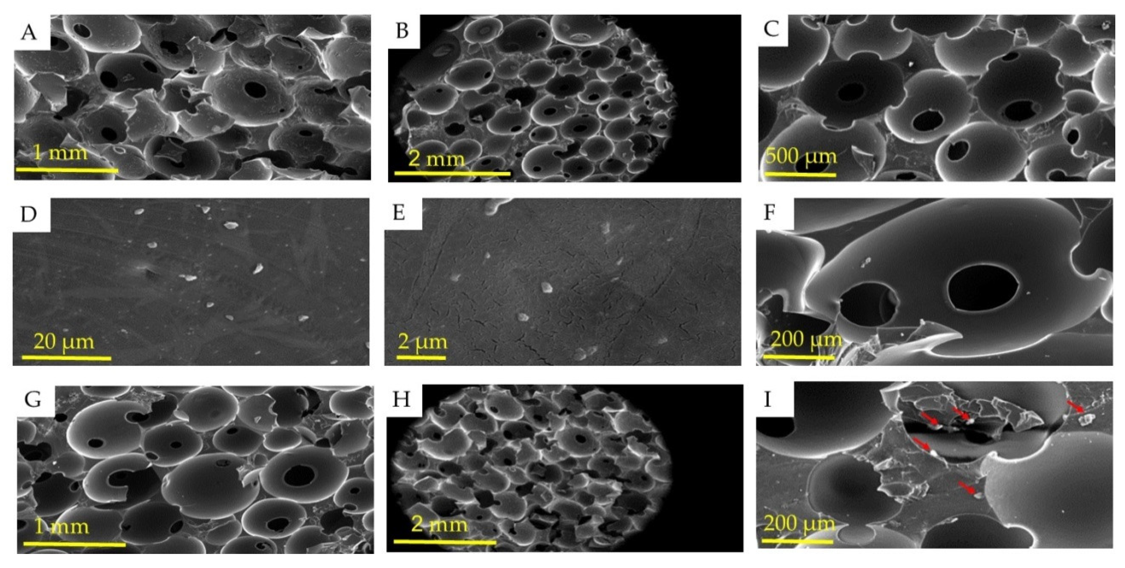 Polymers 13 03191 g003