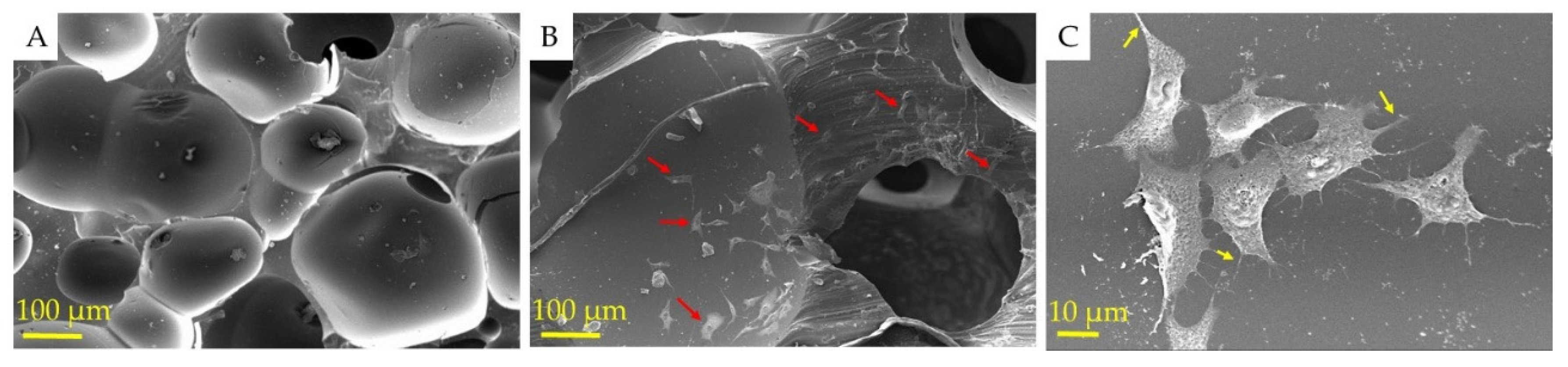 Polymers 13 03191 g006