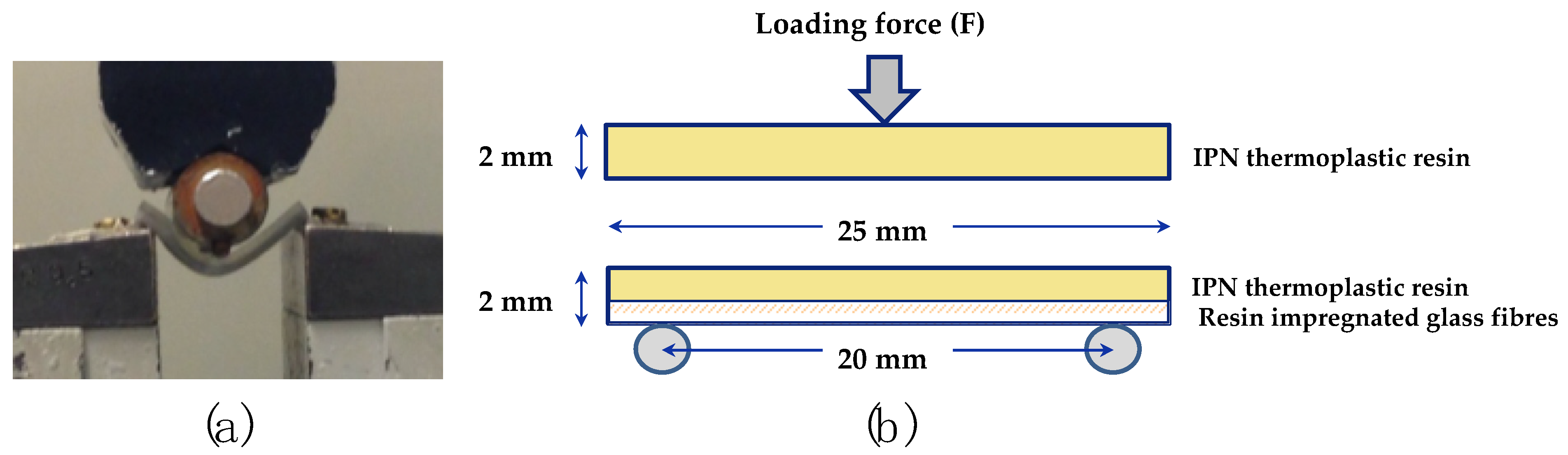 Polymers 13 03200 g001